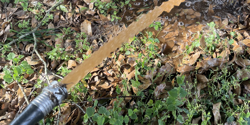 Water Quality Testing in Ocala, Florida