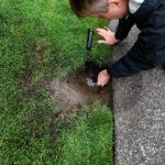 Irrigation Replacement in Ocala, Florida